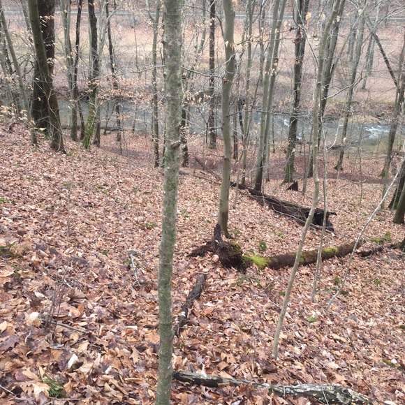 oltmanma